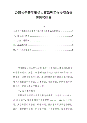 公司关于开展组织人事系列工作专项自查的情况报告.docx