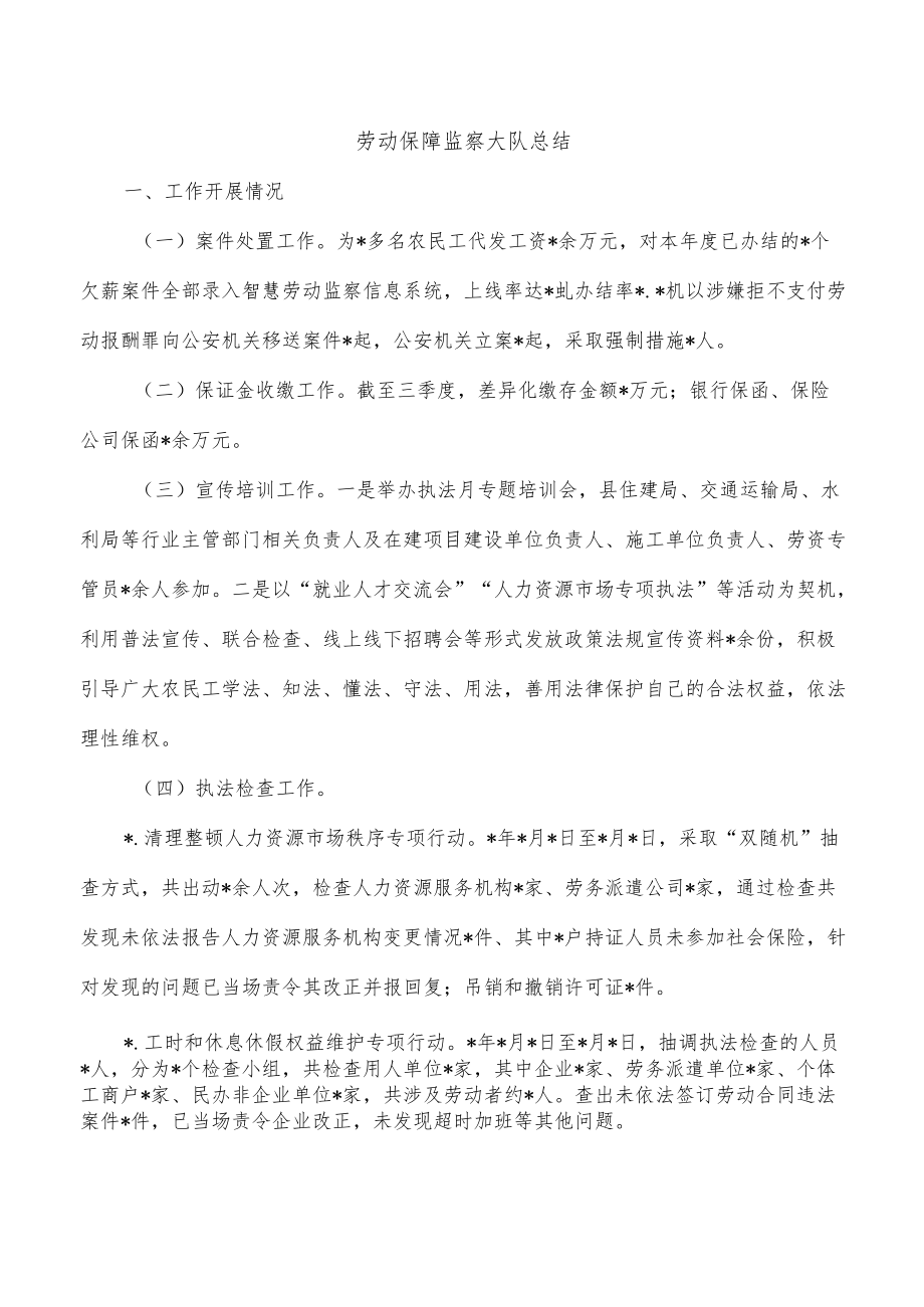 劳动保障监察大队总结.docx_第1页