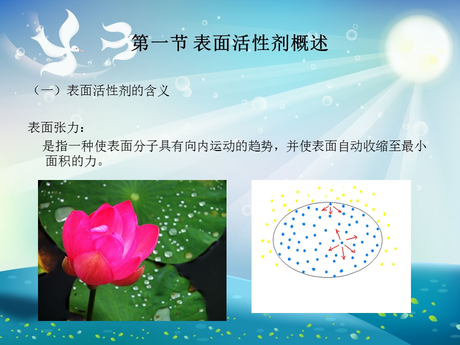 表面活性剂科学与应用ppt课件.ppt_第2页