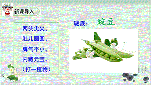 部编版一个豆荚里的五粒豆优质ppt课件.ppt