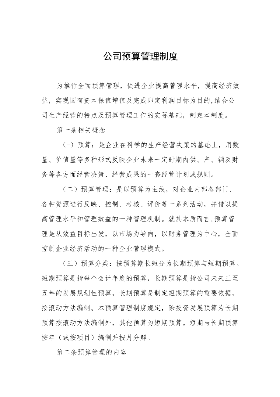 公司预算管理制度.docx_第1页