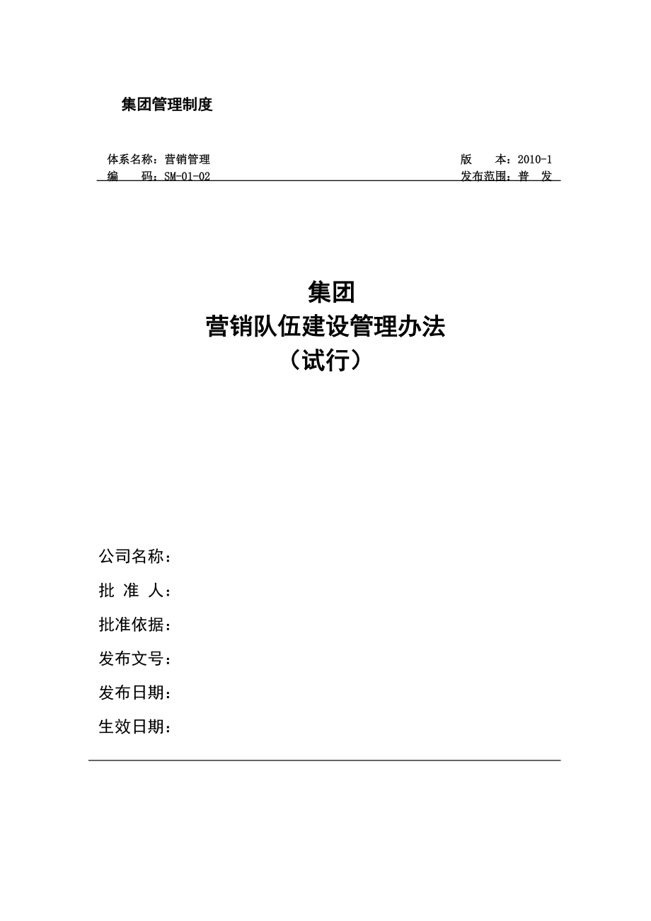 集团营销队伍建设管理办法(试行).doc_第1页