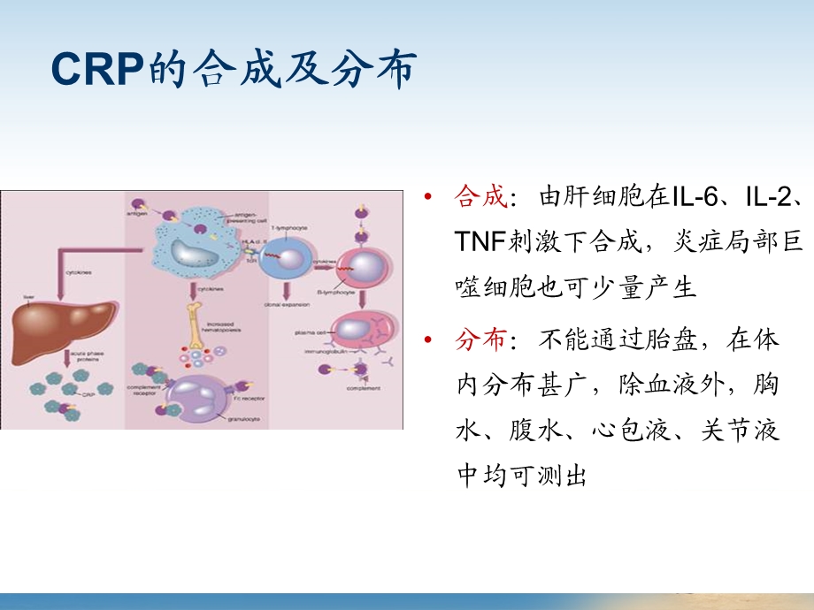 血常规和反应蛋白检测的临床意义课件.ppt_第2页