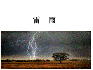 部编版二年级语文下册16 雷雨课件.ppt