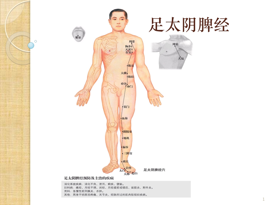 足太阴脾经 重点穴位课件.ppt_第1页