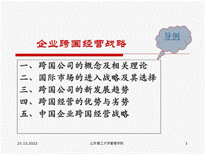 跨国经营战略专题课件.ppt