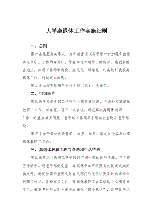 大学离退休工作实施细则.docx