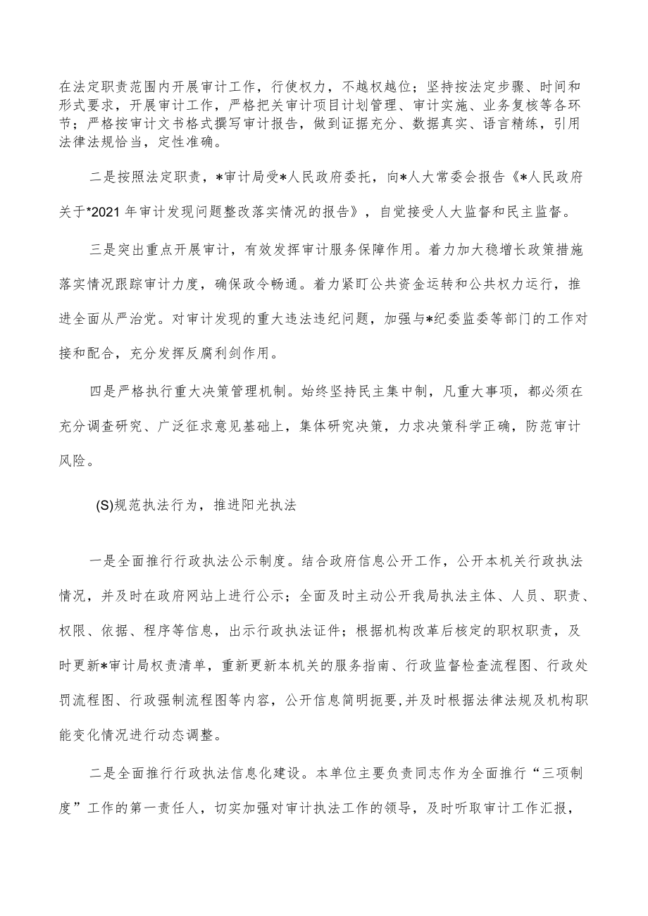 审计法治建设工作总结.docx_第2页