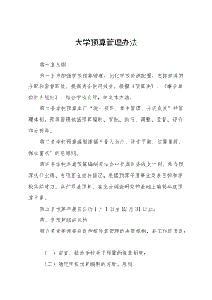 大学预算管理办法.docx