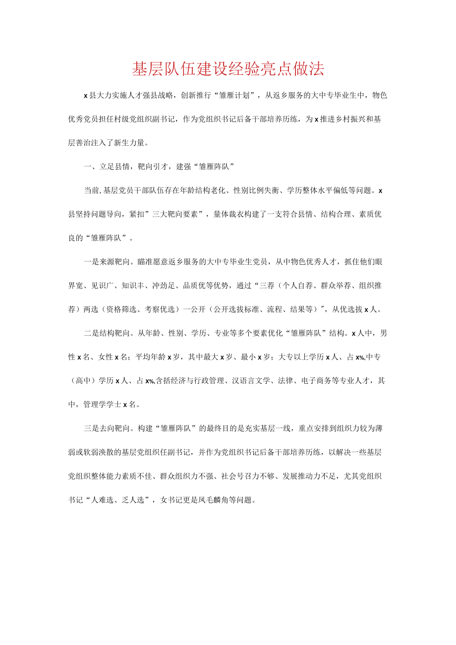 基层队伍建设经验亮点做法.docx_第1页