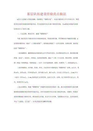 基层队伍建设经验亮点做法.docx