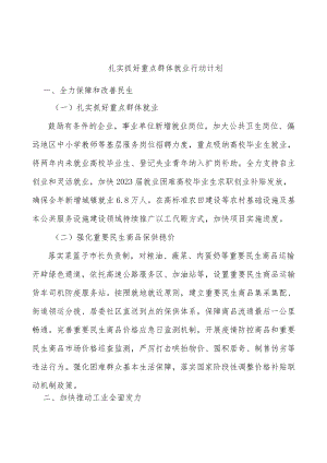 扎实抓好重点群体就业行动计划.docx