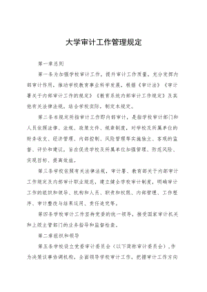 大学审计工作管理规定.docx