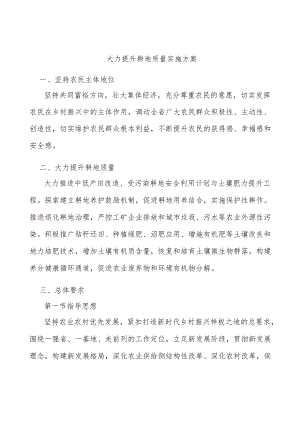 大力提升耕地质量实施方案.docx