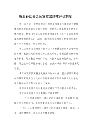 就业补助资金预算支出绩效评价制度.docx