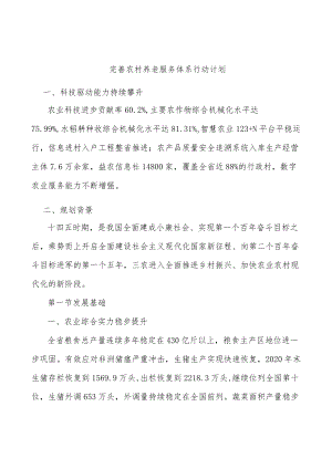 完善农村养老服务体系行动计划.docx