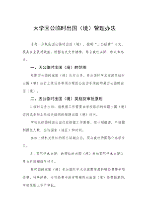 大学因公临时出国（境）管理办法.docx