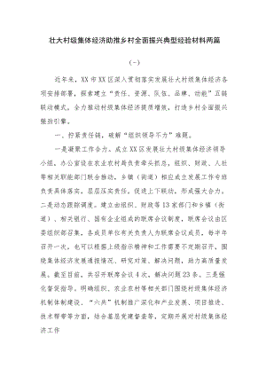 壮大村级集体经济助推乡村全面振兴典型经验材料两篇.docx