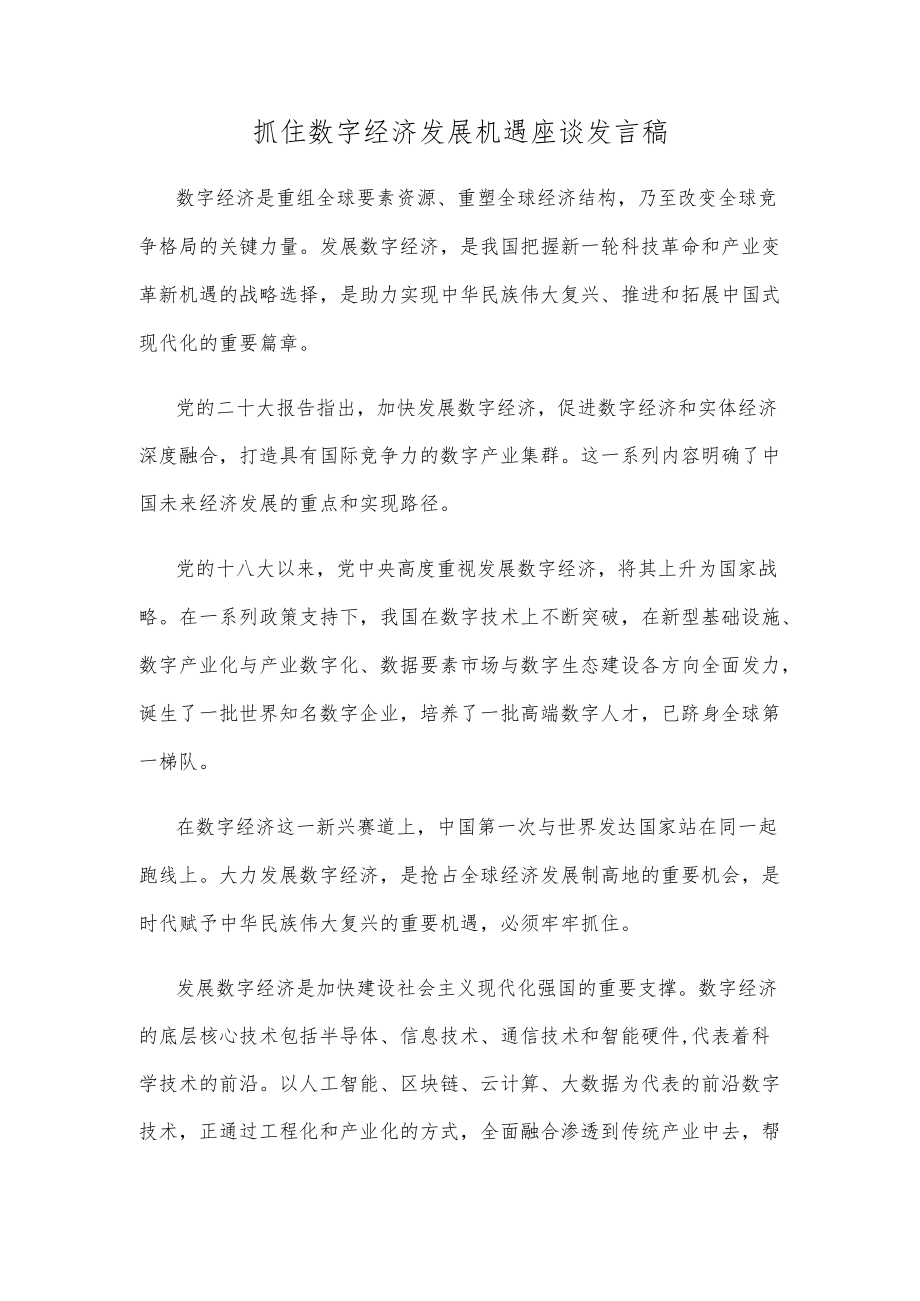 抓住数字经济发展机遇座谈发言稿.docx_第1页