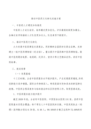 推动中医药文化转化实施方案.docx