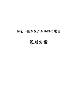 特色小镇养生产业品牌化建设策划方案.docx