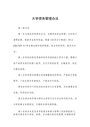 大学债务管理办法.docx