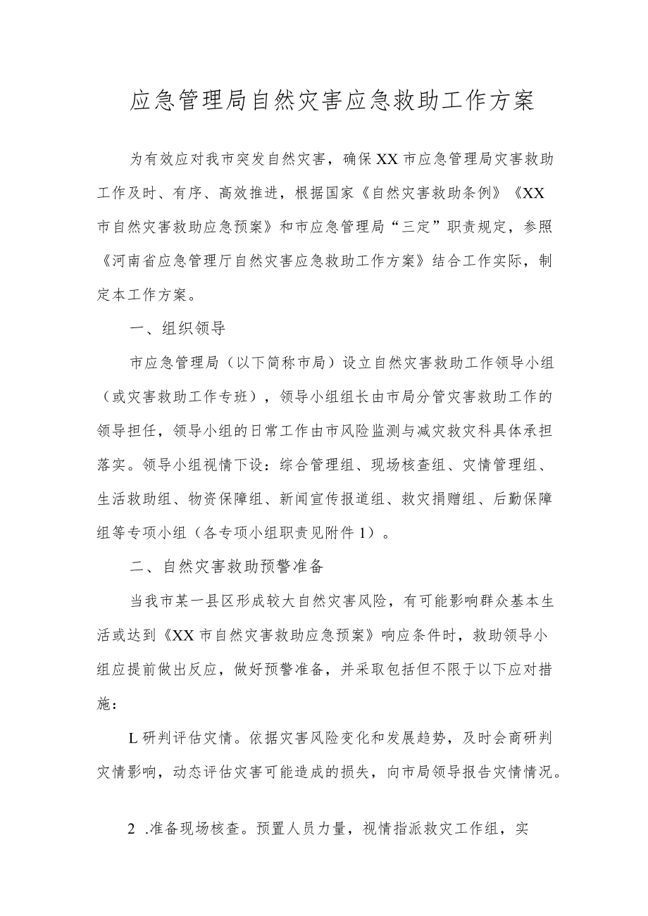 应急管理局自然灾害应急救助工作方案.docx_第1页