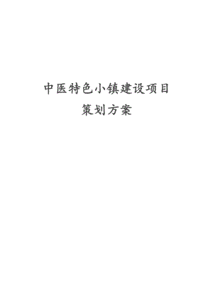 中医特色小镇建设项目策划方案.docx