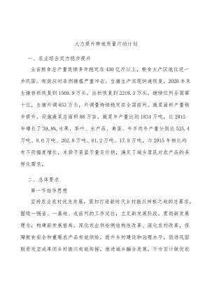 大力提升耕地质量行动计划.docx