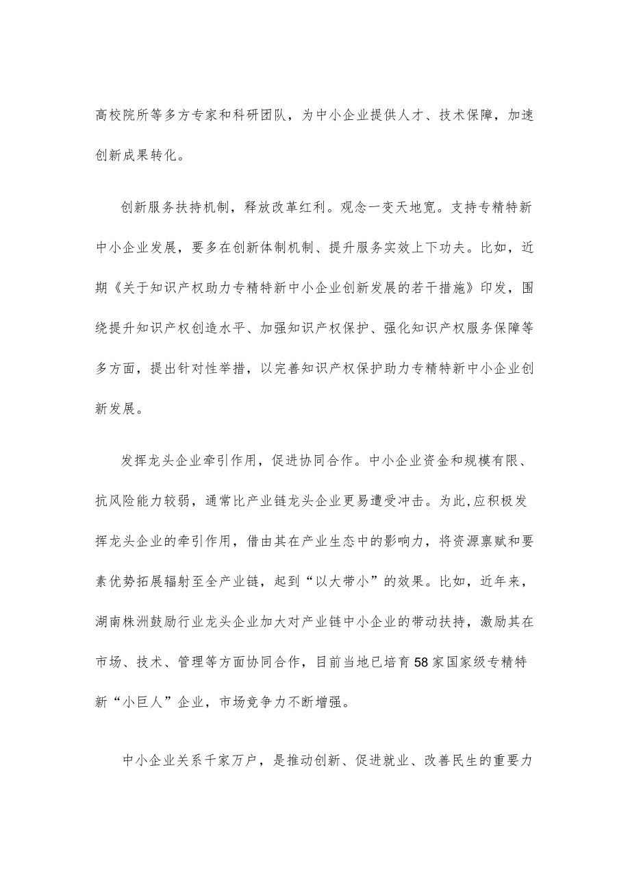 培育“专精特新”中小企业心得体会发言.docx_第2页