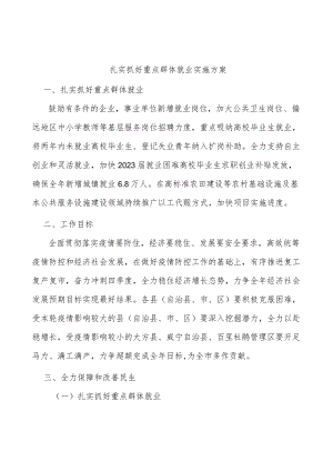 扎实抓好重点群体就业实施方案.docx