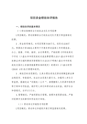 项目资金绩效自评报告.docx