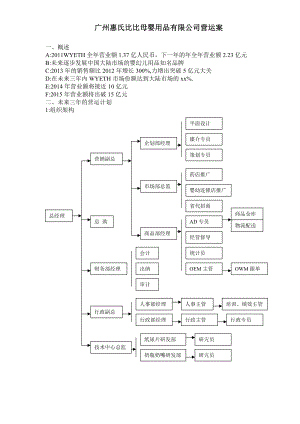 广州惠氏比比母婴用品有限公司营运案.docx