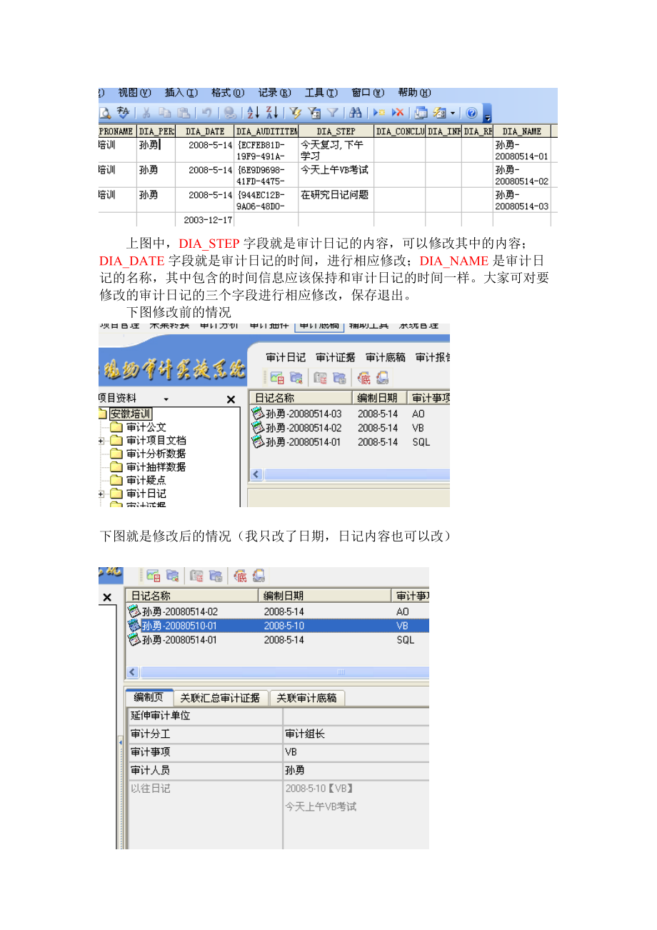 审计日记修改方法.docx_第2页