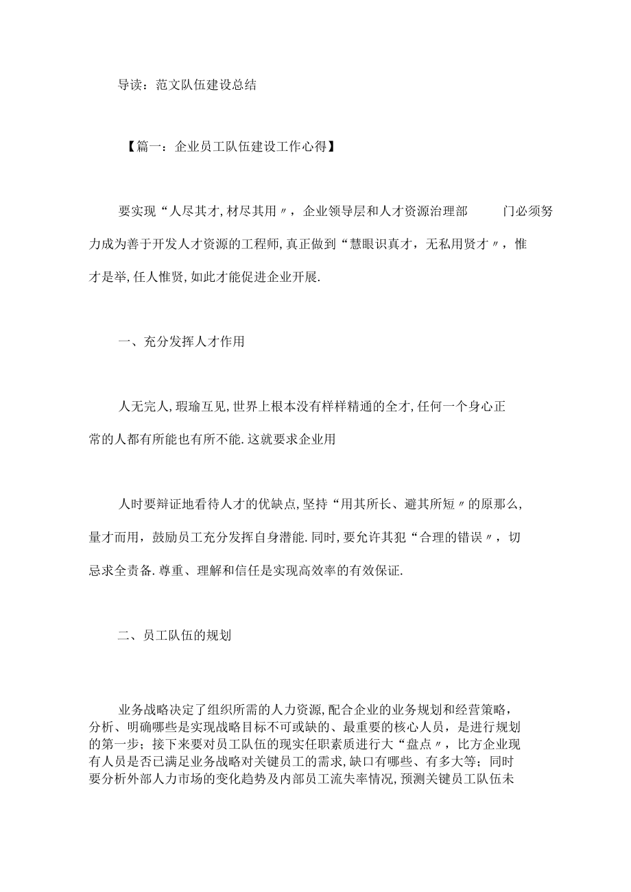 队伍建设总结.docx_第1页