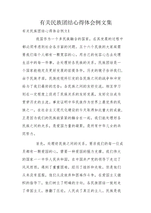 有关民族团结心得体会例文集.docx