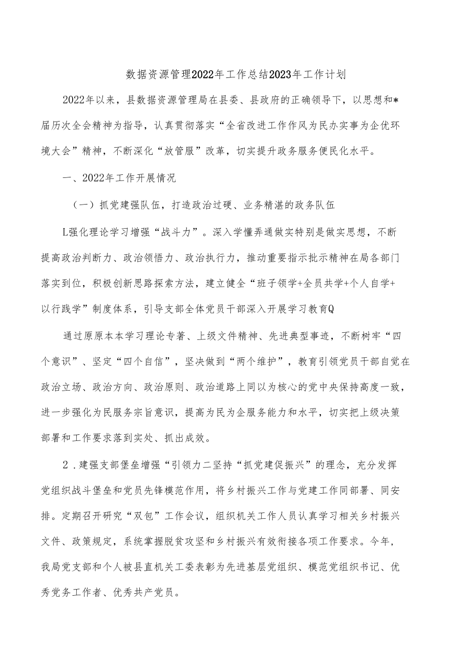 数据资源管理2022年工作总结2023年工作计划.docx_第1页