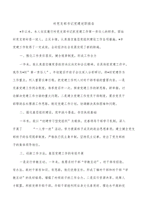 村党支部书记党建述职报告.docx