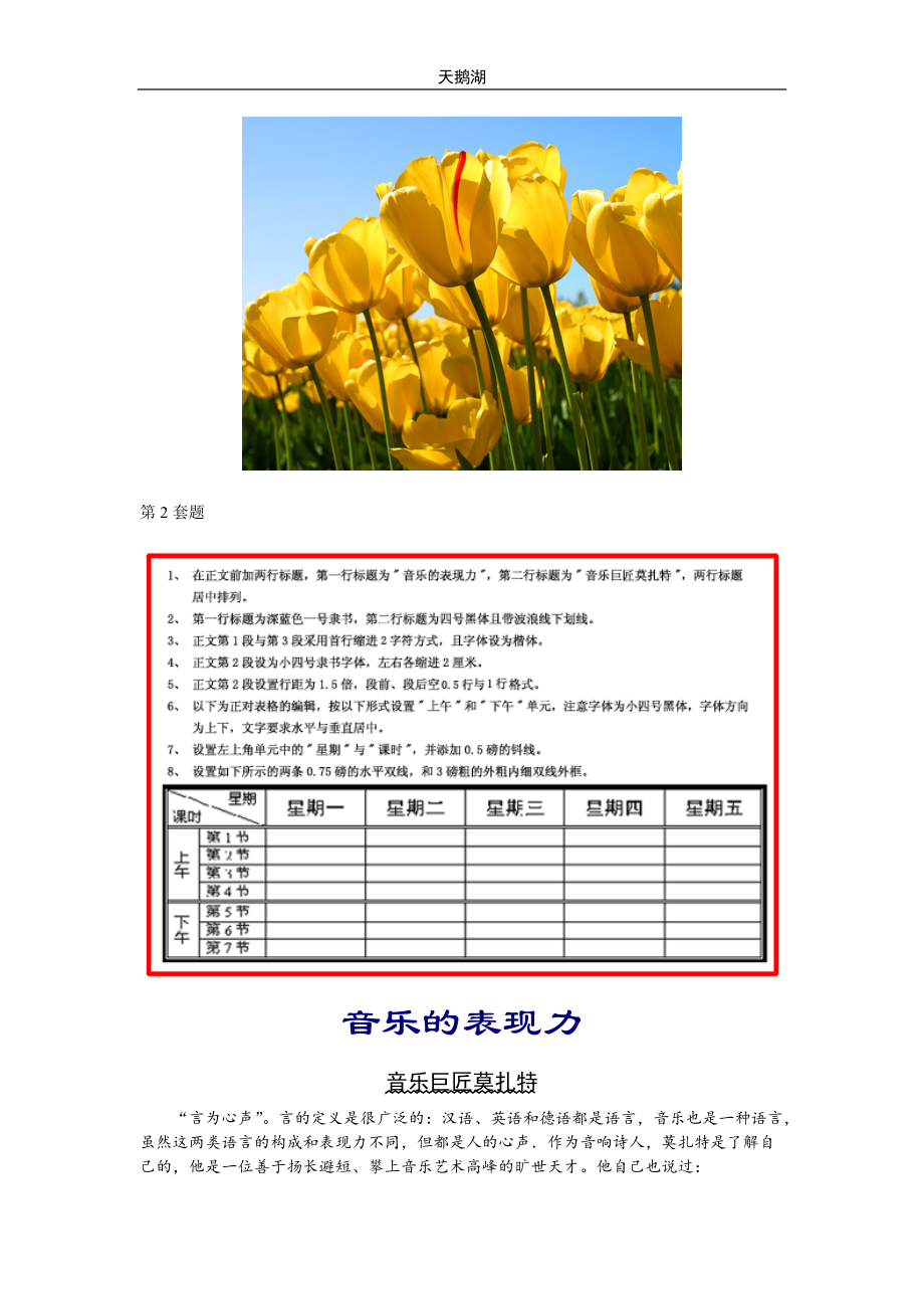 会计电算化考试Word题.docx_第2页