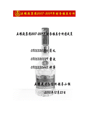 报表分析：五粮液集团财务报表分析.docx