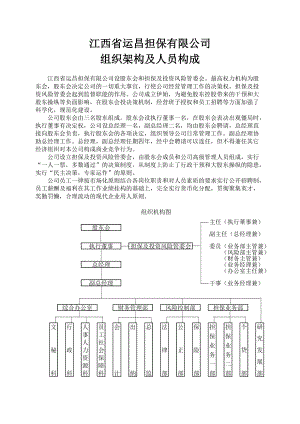 担保公司组织架构、风险控制及业务操作流程.docx