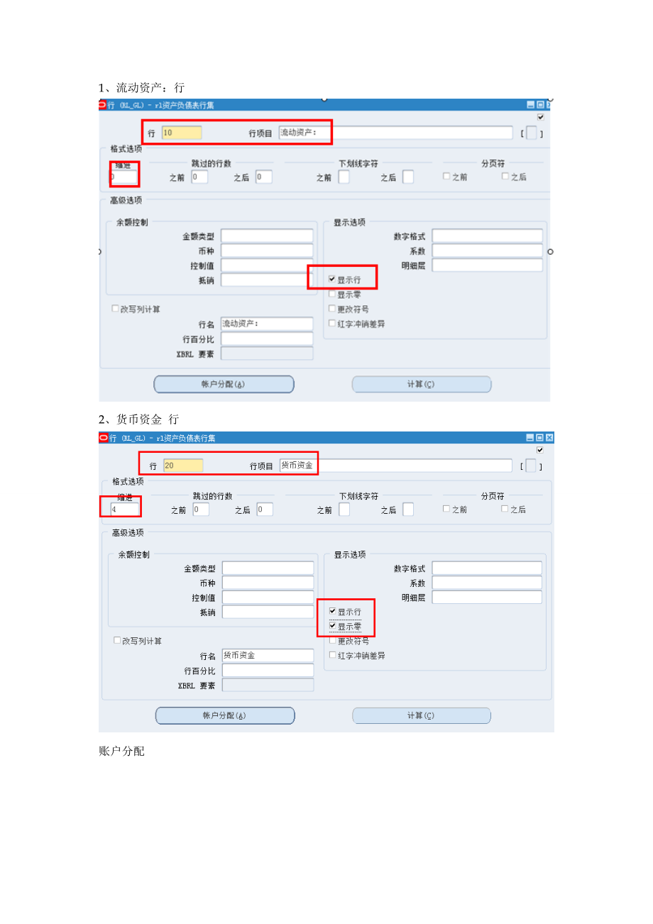 FSG资产负债表的设置.docx_第2页