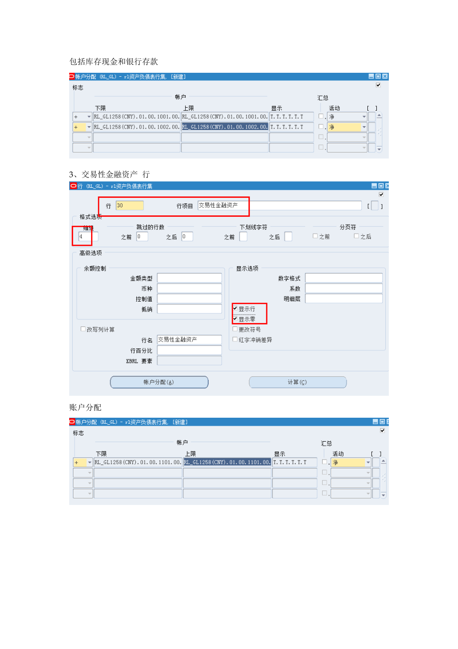 FSG资产负债表的设置.docx_第3页