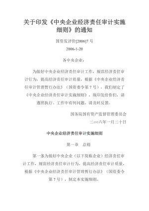 中央企业经济责任审计实施细则.docx