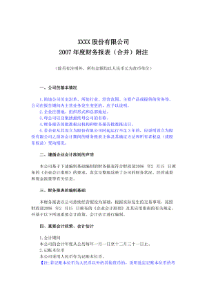 某公司财务报表附注(doc 49页).docx