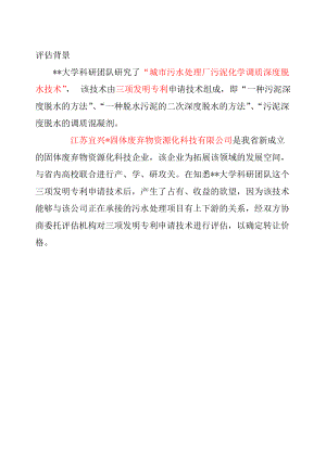 污泥焚烧技术无形资产评估报告.docx