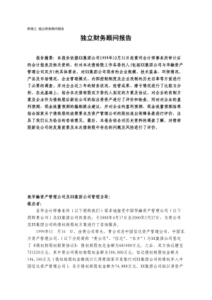 某公司独立财务顾问报告书.docx