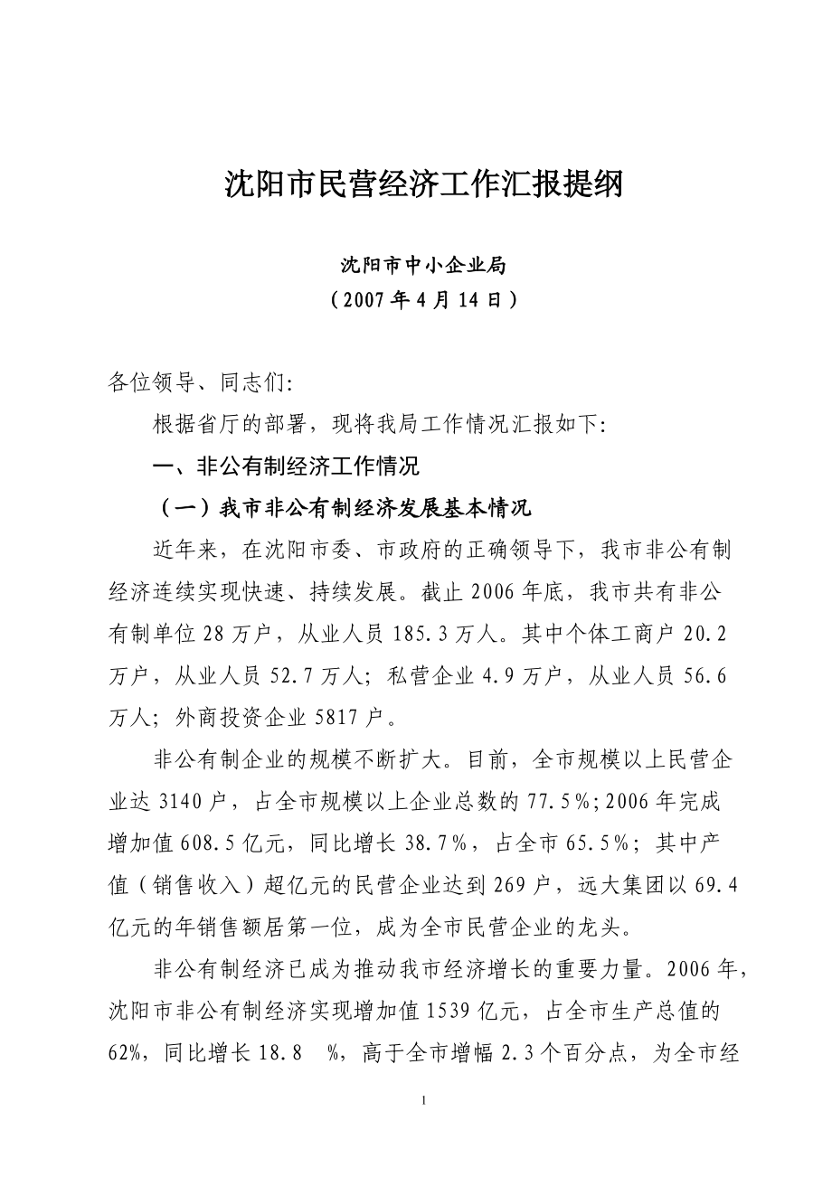 沈阳市民营经济工作汇报提纲.docx_第1页