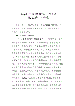 某某区民政局2022年工作总结及2023年工作计划.docx