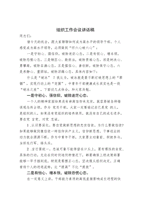 组织工作会议讲话稿.docx